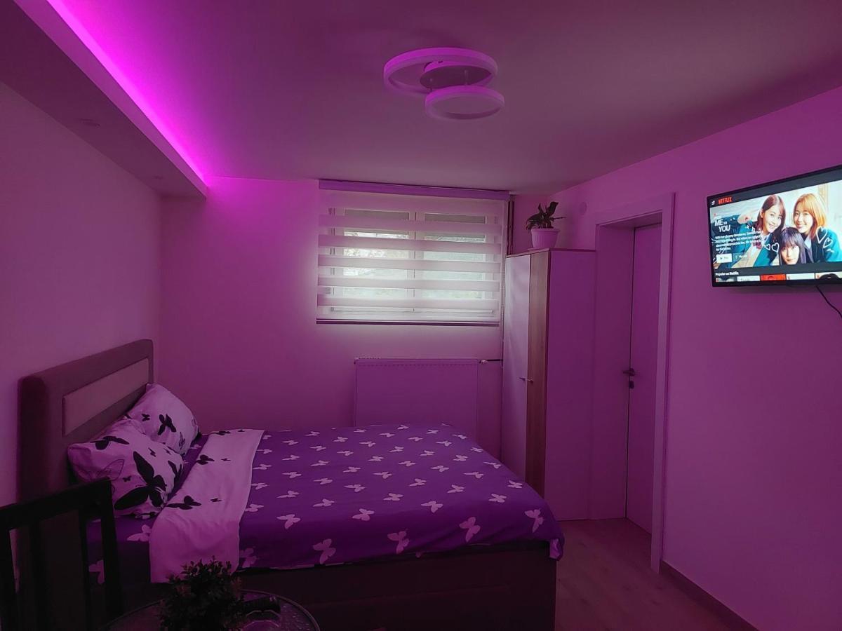 Apartman Zivkovic Leskovac  Exteriör bild