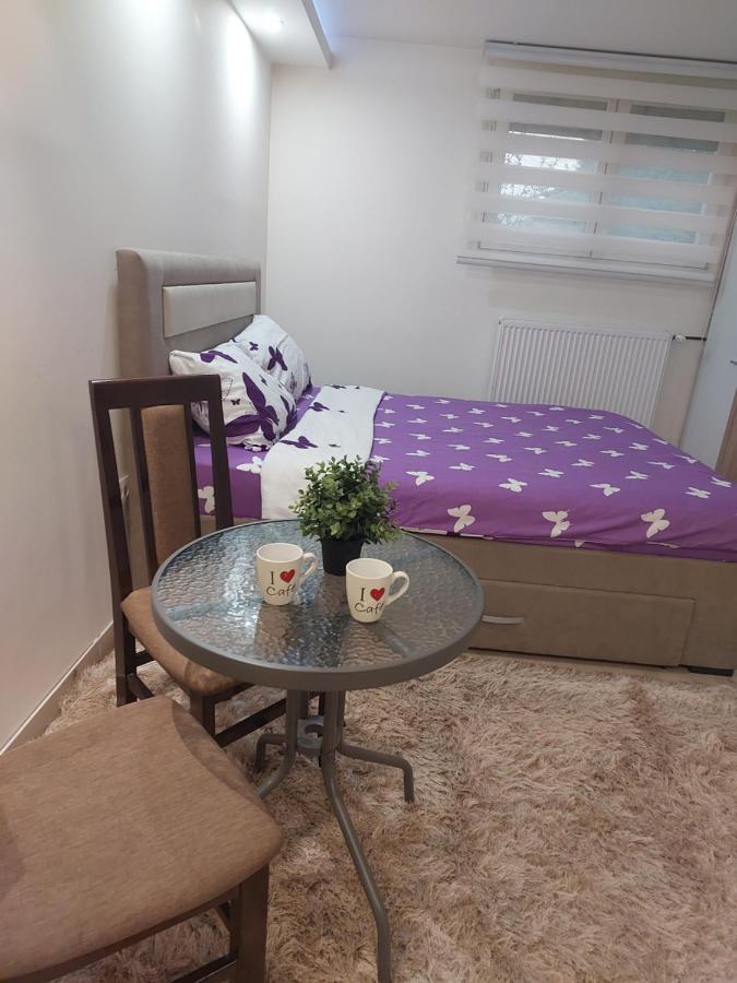 Apartman Zivkovic Leskovac  Exteriör bild
