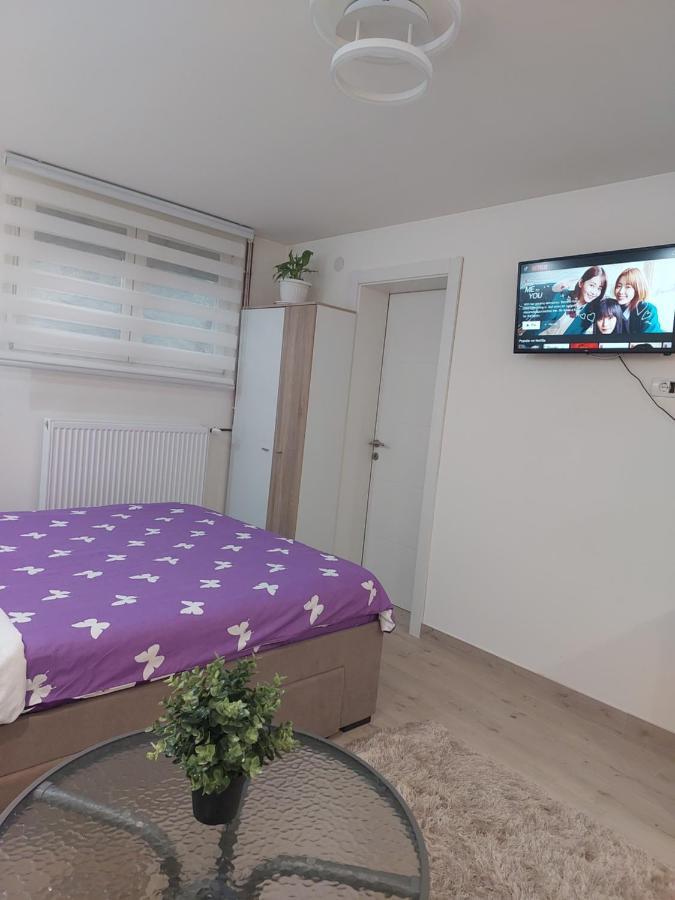 Apartman Zivkovic Leskovac  Exteriör bild