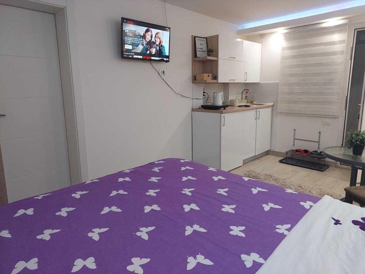 Apartman Zivkovic Leskovac  Exteriör bild