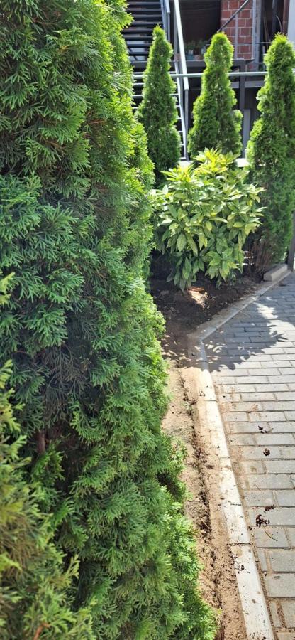 Apartman Zivkovic Leskovac  Exteriör bild