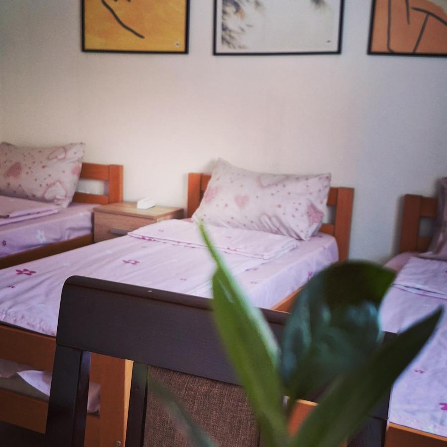 Apartman Zivkovic Leskovac  Exteriör bild